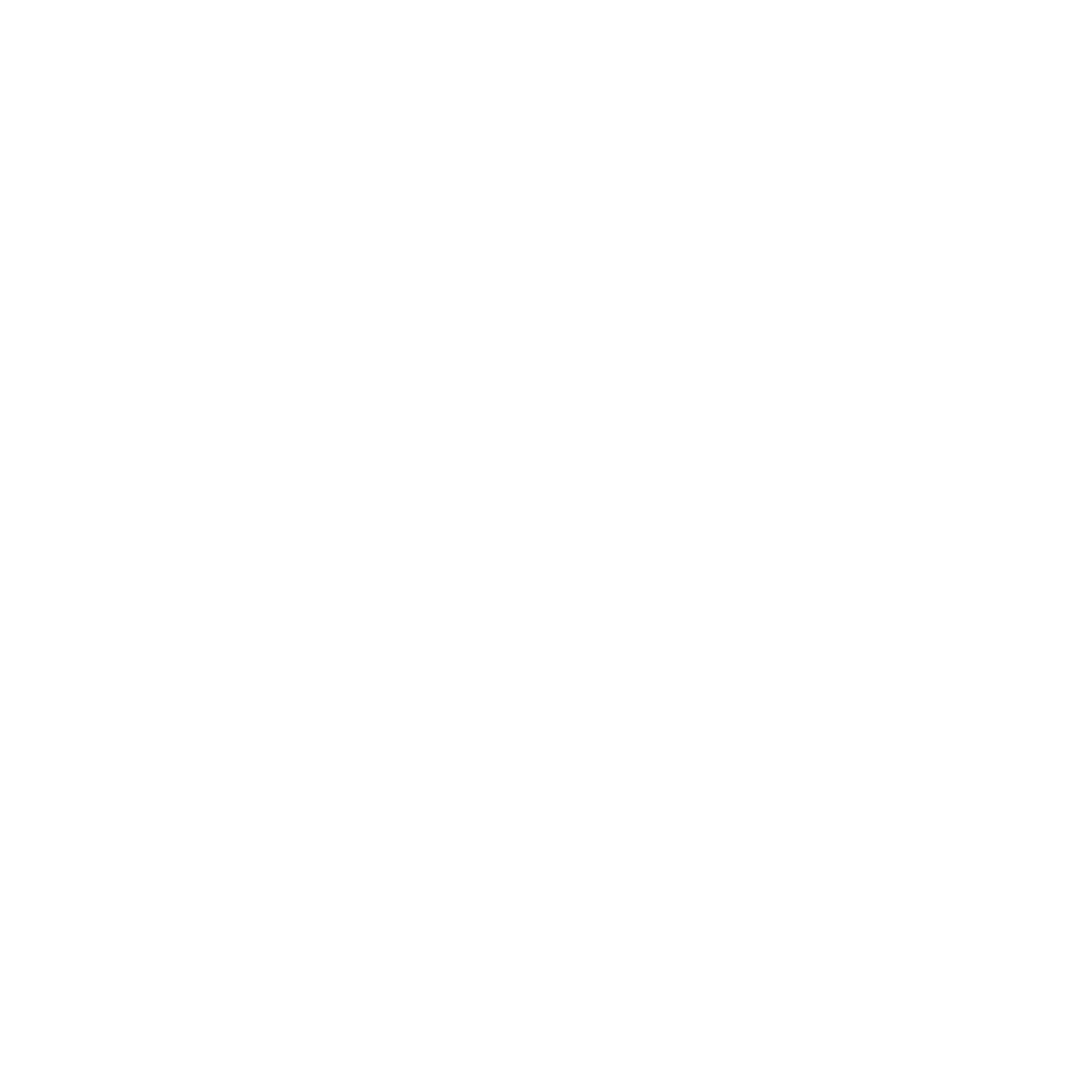 Partner 18